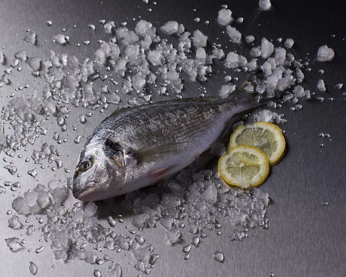 Wild sea bream