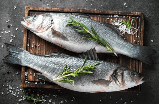 Wild sea bass