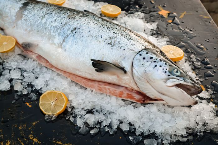 Chilled salmon