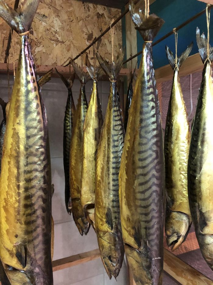 Cold-smoked mackerel